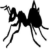 ant.jpg (5965 bytes)